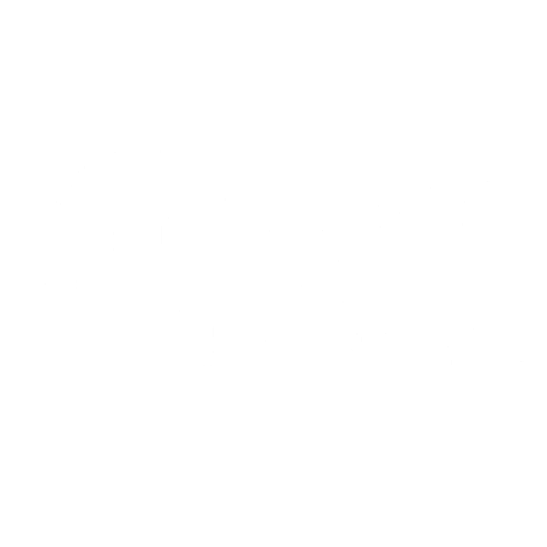 Our Shared Journeys